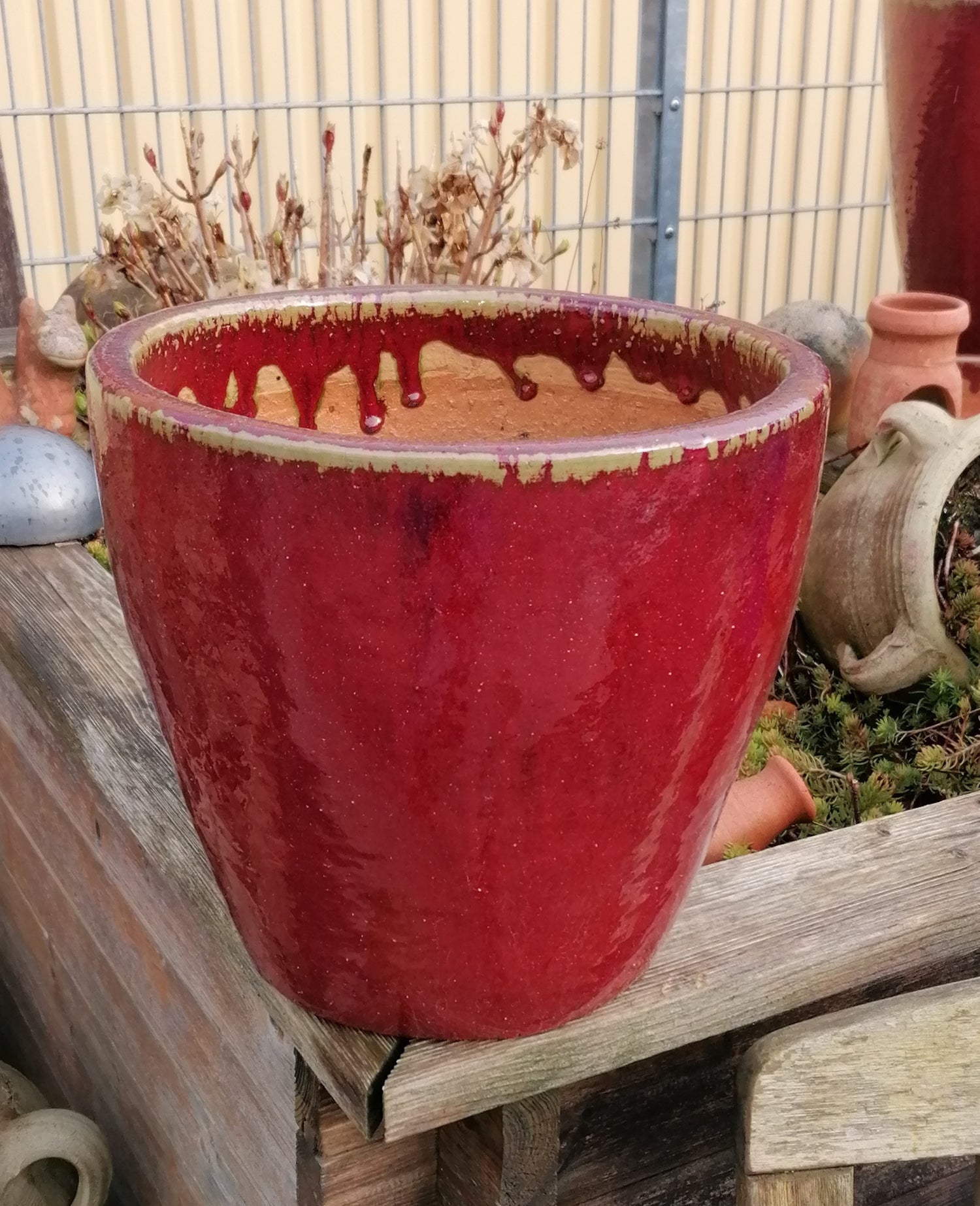 STONE Art & More Pflanzteller – Robuster Blumentopf-Untersetzer, 24 Cm Durchmesser, Rot Glasiert, Frostfest, Handgefertigt Aus Vietnam – Auch Als Vogeltränke Oder Insektentränke Nutzbar