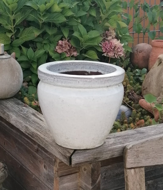 2.WAHL ! Winterfester weißer Blumentopf ø ca. 21 cm aus frostfesten Steinzeug Pflanztopf, Blumenkübel
