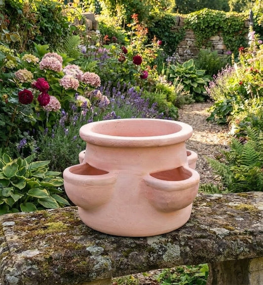 Neu !! Schöner Erdbeertopf / Kräutertopf ca. 20 cm hoch aus rotem Terracotta mit 4 Pflanzkammern Terrakotta mediterran Kakteen Sukkulenten