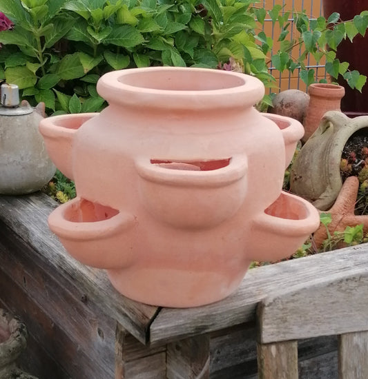 Neu !! Schöner großer Erdbeertopf / Kräutertopf ca. 28 cm hoch aus rotem Terracotta mit 6 Pflanzkammern Terrakotta mediterran Kakteen Sukkulenten