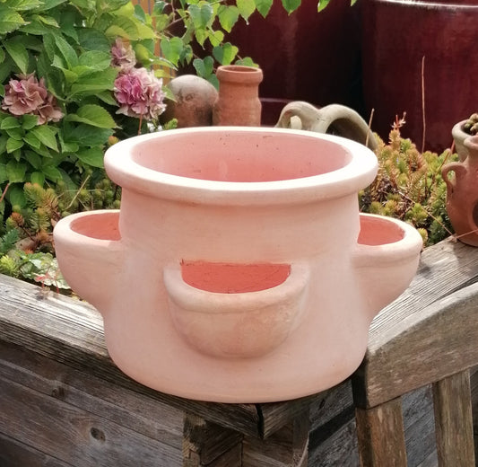 Neu !! Schöner Erdbeertopf / Kräutertopf ca. 20 cm hoch aus rotem Terracotta mit 4 Pflanzkammern Terrakotta mediterran Kakteen Sukkulenten
