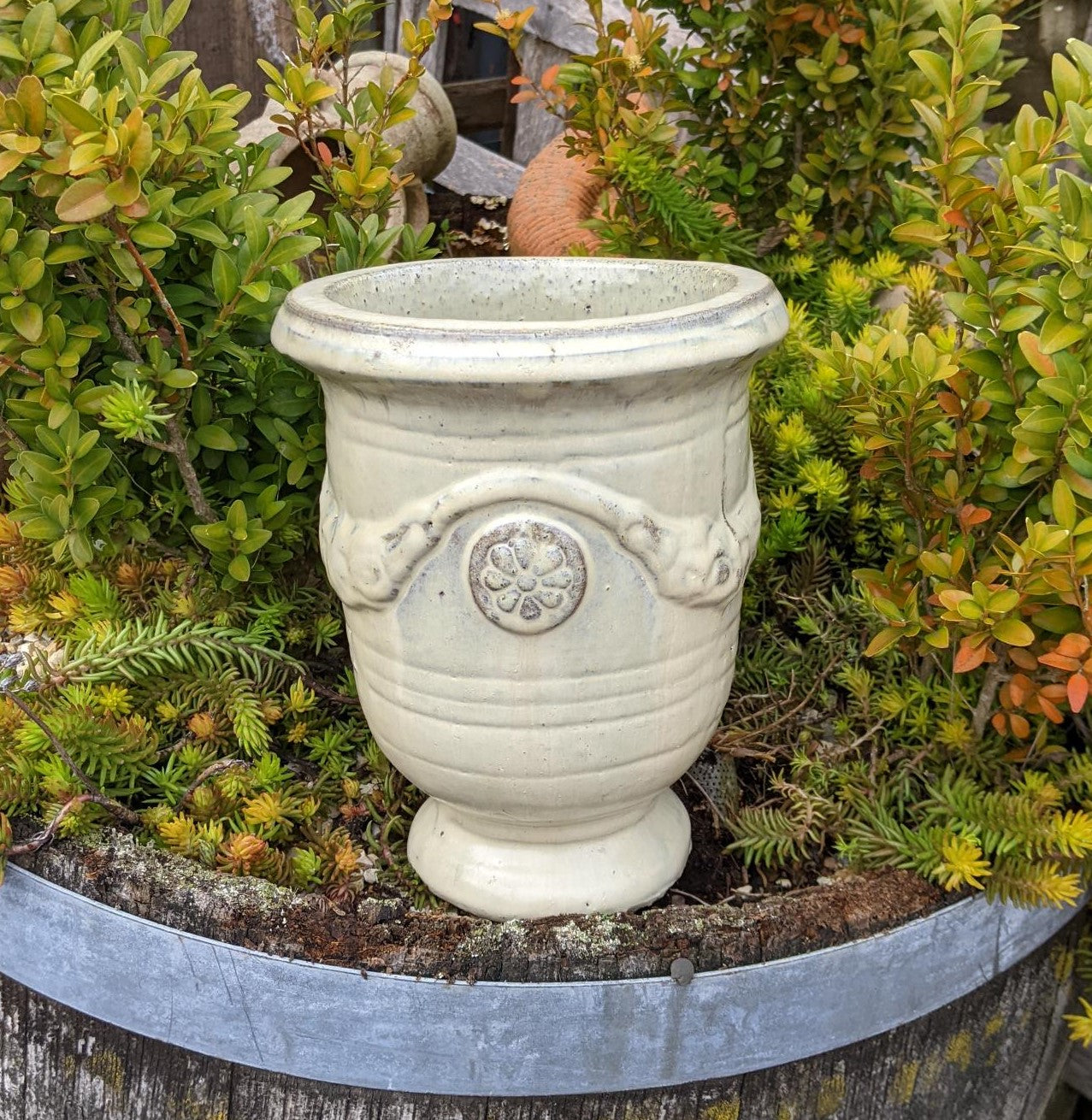 Neu !! Kleiner cremefarbener Pokal Blumentopf aus winterfesten Steinzeug ca. 22 cm hoch