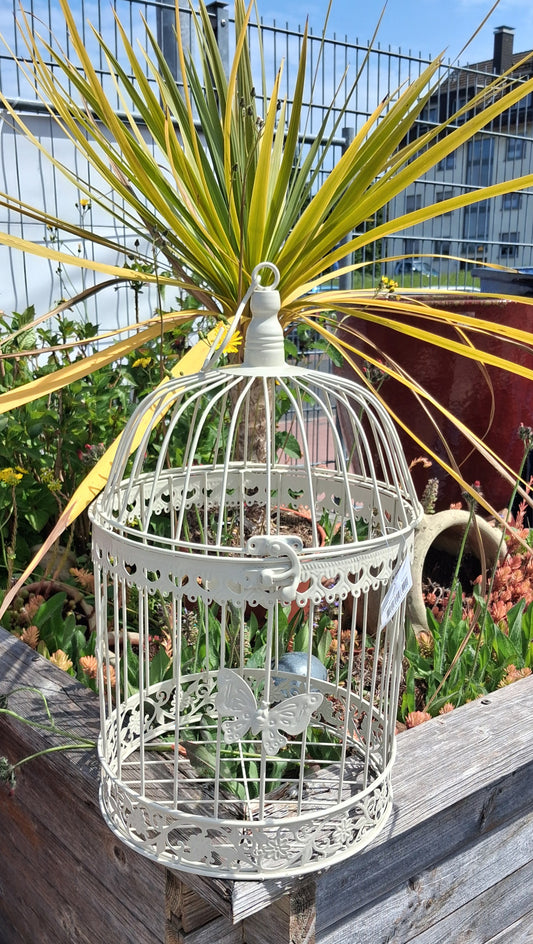NEU !! Cremefarbener Vogelkäfig ca. 47 cm hoch mit Schmetterlingen aus Metall , Voliere , Käfig