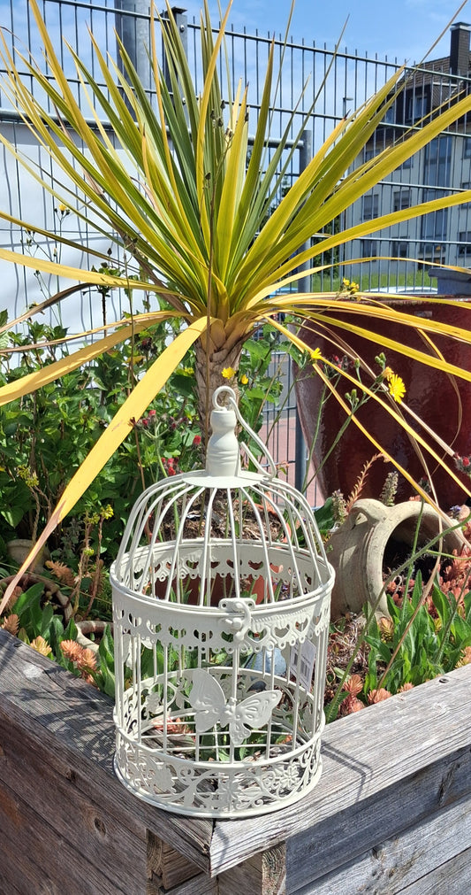NEU !! Cremefarbener Vogelkäfig ca. 37 cm hoch mit Schmetterlingen aus Metall , Voliere , Käfig