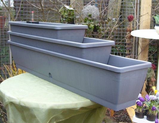 1 Blumenkasten / Balkonkasten mit Wasserspeicher ca. 60 cm aus grauem hochwertigen Kunststoff