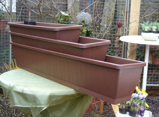 1 Blumenkasten / Balkonkasten mit Wasserspeicher ca. 60 cm aus hochwertigen Kunststoff