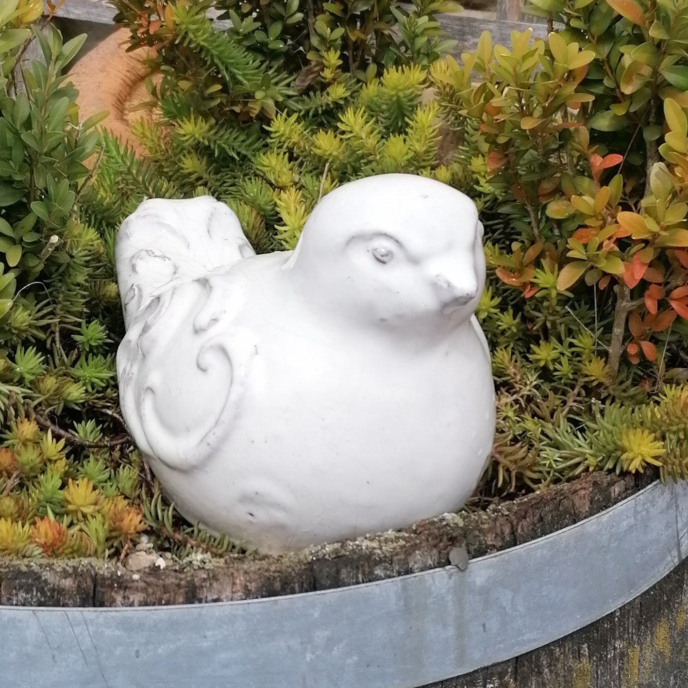 NEU !! 2. Wahl ! Vogel aus frostfesten Steinzeug weiß glasiert ca. 24 cm lang Deko Garten Spatz Figur Taube