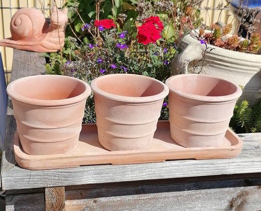 4er Set - 3 Kleine Blumentöpfe mit Untersetzer aus Terracotta, Pflanzgefäß