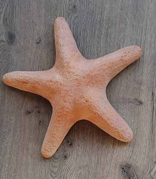 2 Seesterne ø je ca. 21 cm aus Terracotta Meerestier Aquarium Wasser Teich Zoo Tierpark