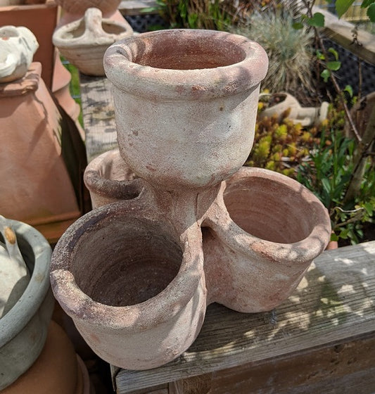 2. Wahl !! Schöner Kräutertopf ca. 24 cm x 24 cm aus Terracotta